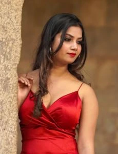 call girl service in Aminjikarai